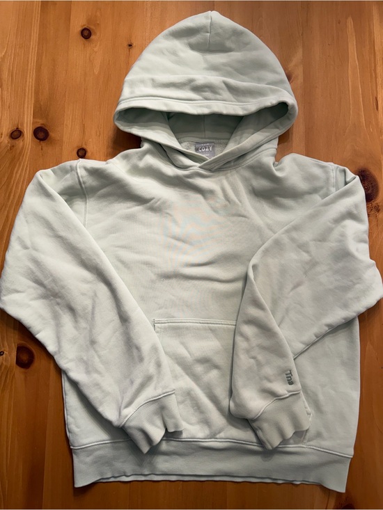TNA Other - TNA Light Mint Pullover Hoodie